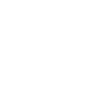 pall white logo