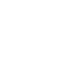vaillant white logo